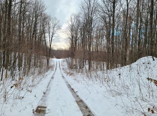 Stonewall Trl, Gaylord, MI 49735