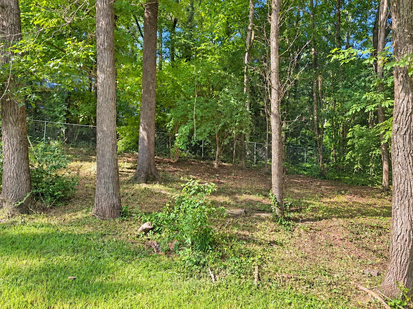 322 Shady Crest Dr — Photo 4