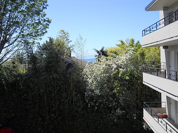 A little peek a boo view right outside your door!