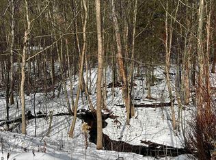 10C Preston Rd NE, Kalkaska, MI 49646