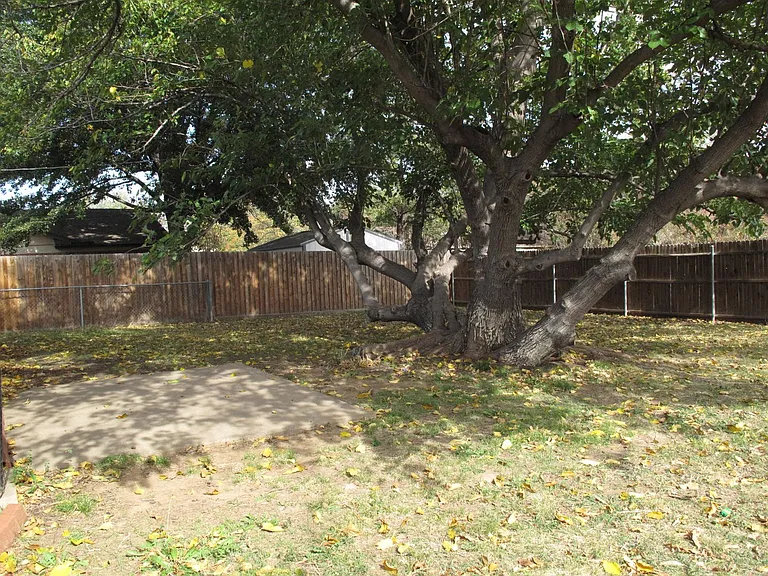 128 Bluebird Cir — Photo 9