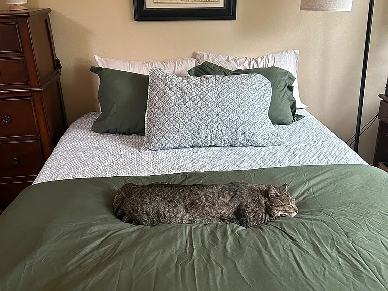 Same bedroom, different bedding.