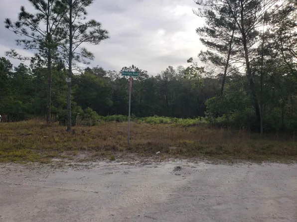 117 Moon Lake Dr, Crescent City, FL 32112