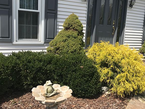 2nd image of 8381 Squirrelridge Dr