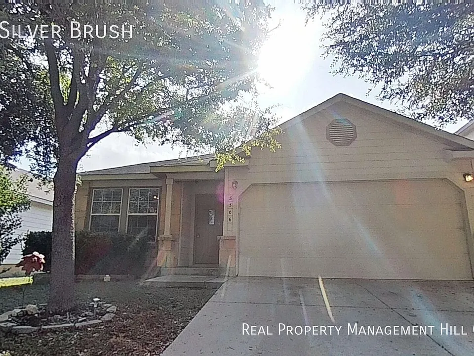 8506 Silver Brush