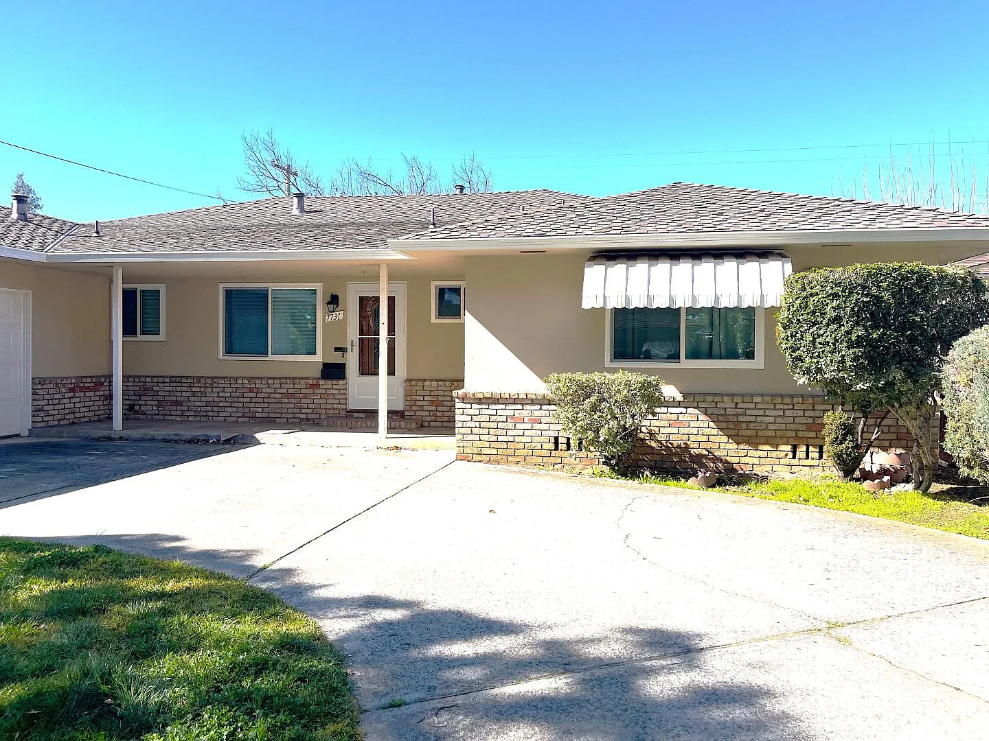 7731 Filice Dr — Photo 4