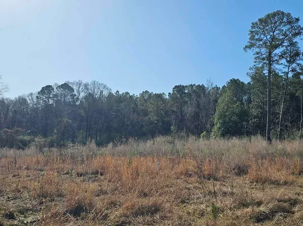 6245 Upper C C Rd, Clinton, LA 70722