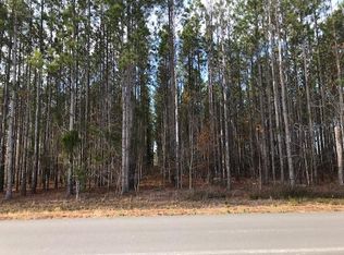 SE 114th Ave LOT 19, Morriston, FL 32668