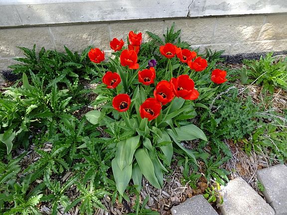 DSCF7270