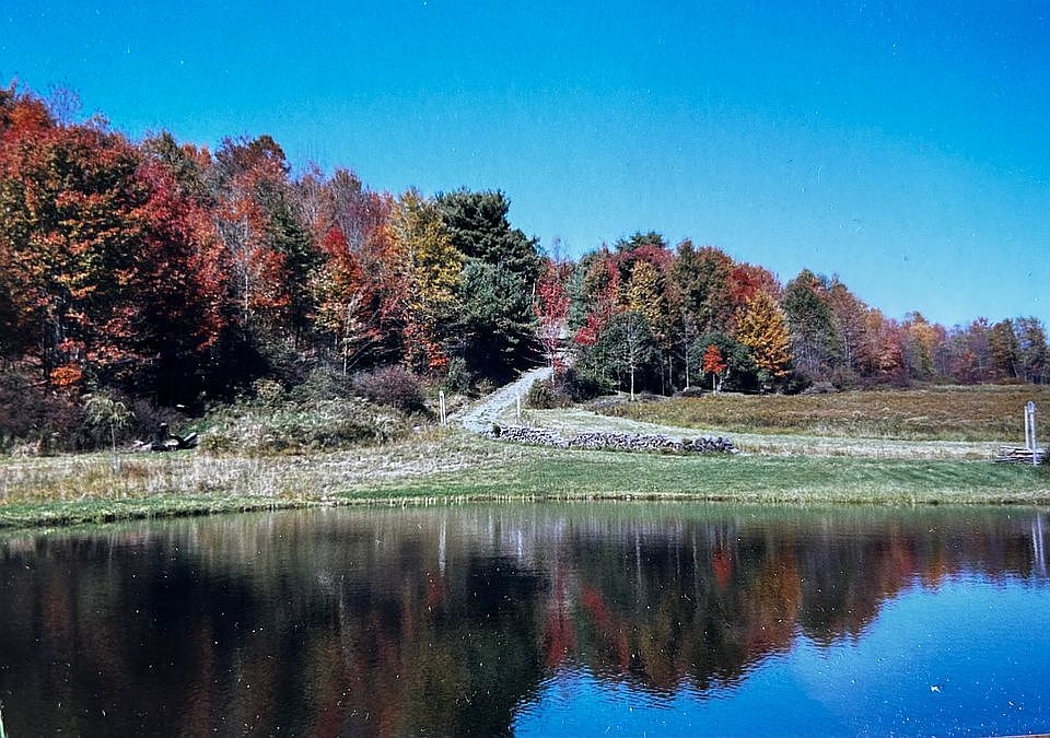 Looking NW, up the driveway