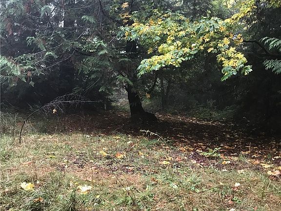 3rd image of 5004 Ashram Ln NW