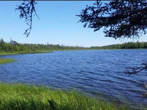 9 P #K, Seaforth, NS B3E 1N4