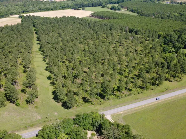 0 S County Road 33, Ashford, AL 36312