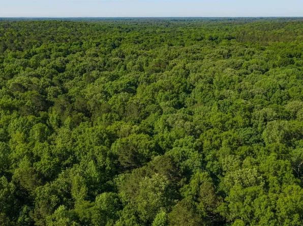 0 Morgan Mill Rd #6, Senoia, GA 30276