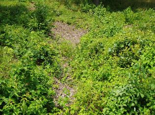 Edgewater Rd, Leitchfield, KY 42754