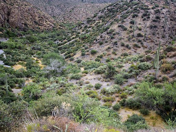 4th image of 9486 E High Canyon Dr