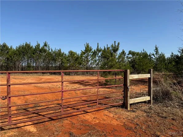 0 S Highway 13, Fayette, AL 35555