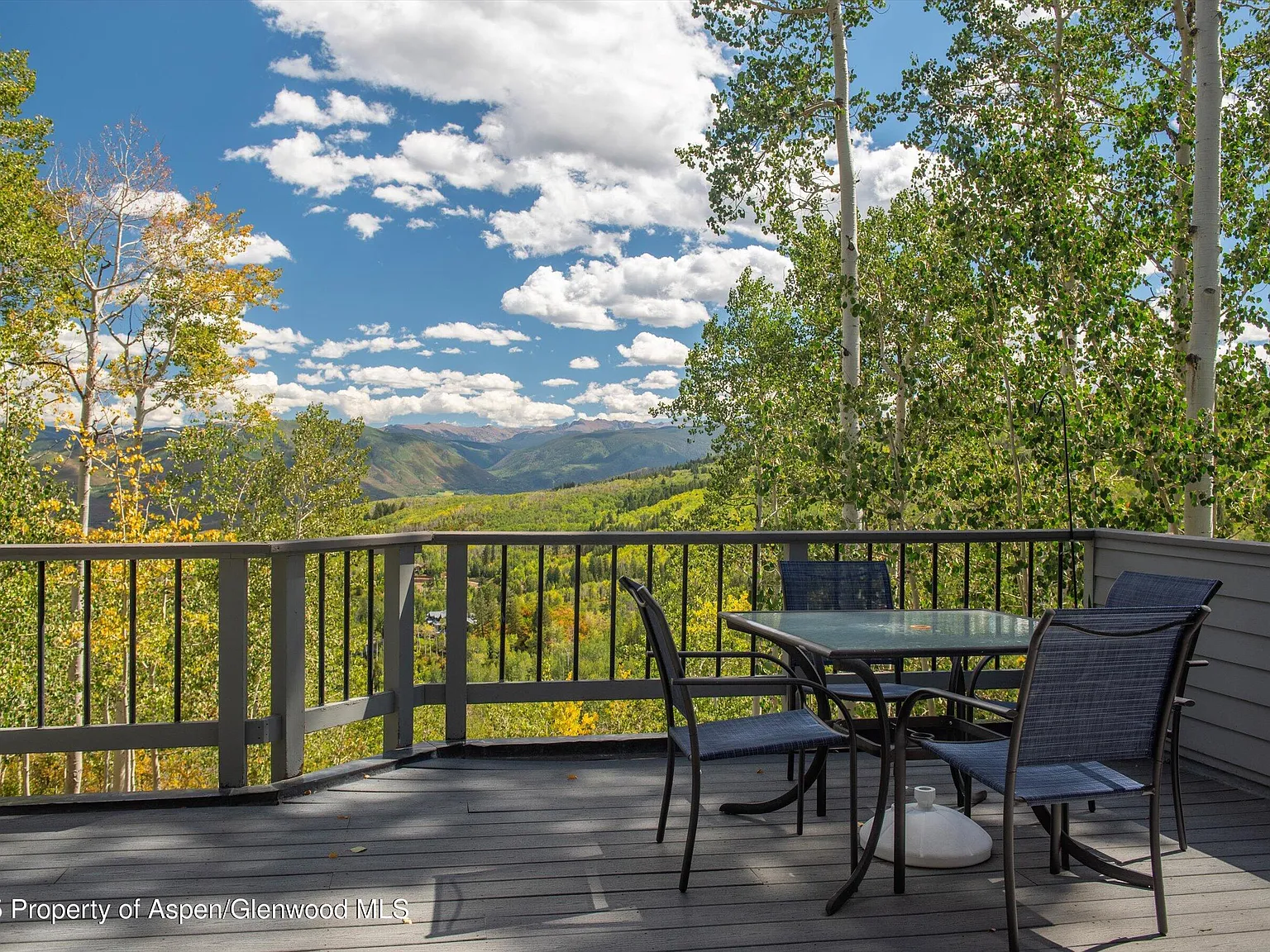 5 bed, 4.5 bath, 3868 sqft, $40,000 — Photo 4
