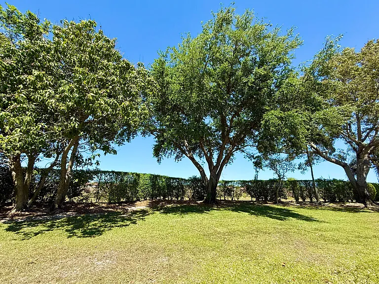 10875 Old Bridgeport Ln — Photo 31