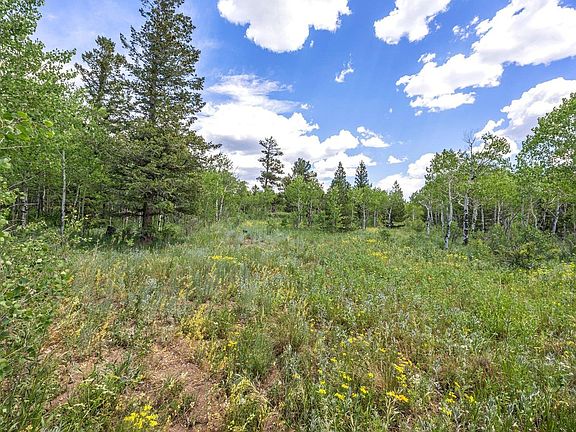 4th image of 1568 County Road 103