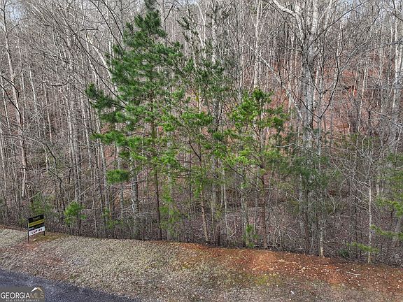 5th image of 49 Old Stamp Mill Rd