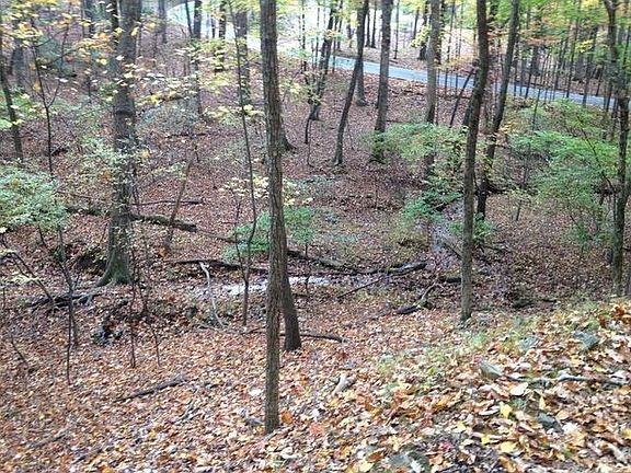3rd image of 1179 Quail Cove Dr Lot 1179
