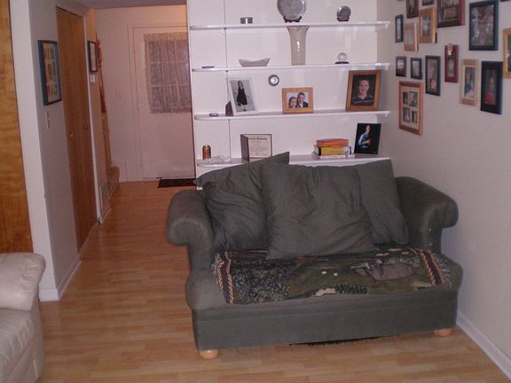 TV Room/ Custom Shelving