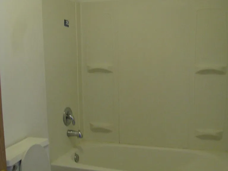 Hall bath pic 1
