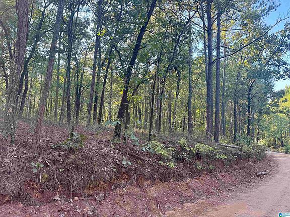 5th image of Lane Branch Rd #11.74