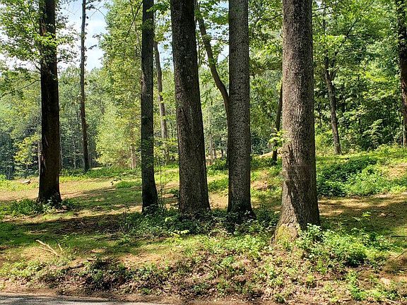 4th image of 10102 Old Ashville Rd