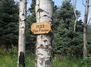 1033 Van Fossan Ln, Fort Garland, CO 81133