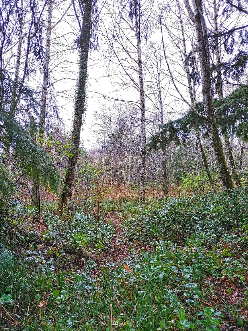 2445 State Route 105 photo 1