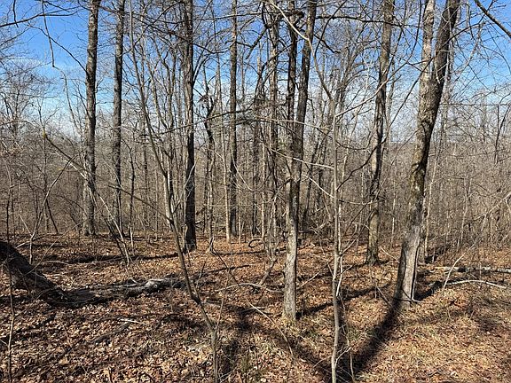 4th image of Kimbrough Rd