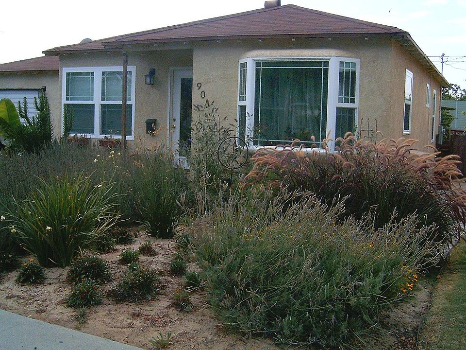 Front view and yard