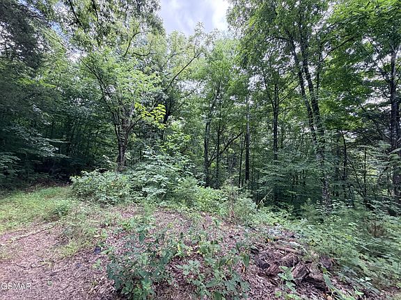 4th image of 0 E Highway 25 Lot 70-0