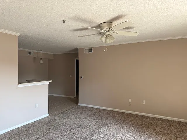 4070 Dancing Cloud Ct #1 — Photo 8