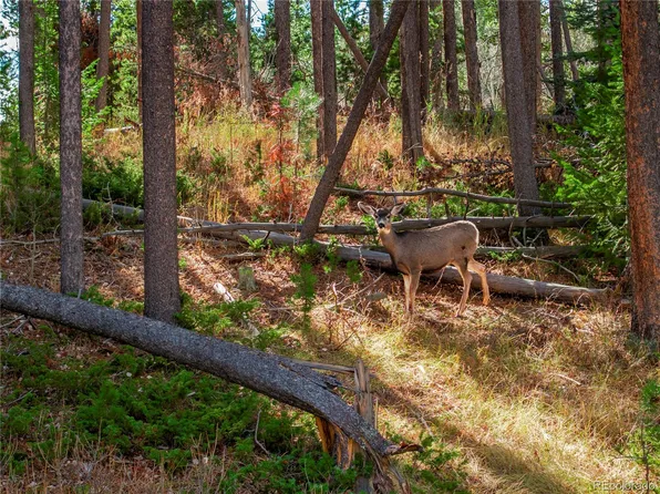 Lot 216620 Indian Springs Road, Conifer, CO 80433