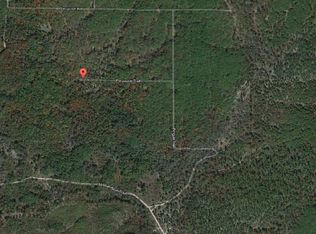 Porcupine Trl, Grayling, MI 49738