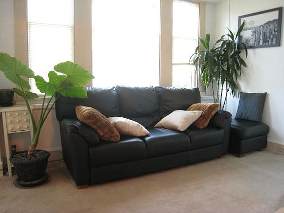 4th image of 2 7th St APT C