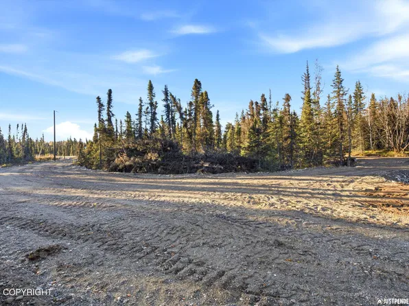 12643 W Snowberry Rd, Willow, AK 99688