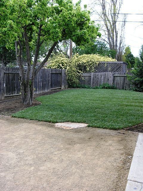 backyard landscape completed 2008