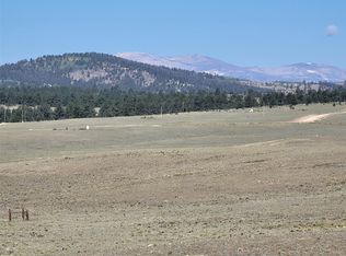 1071 Yellowstone Rd, Hartsel, CO 80449