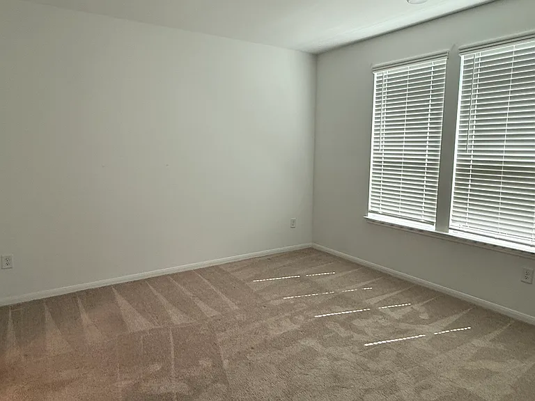 26334 Cedar Sedge Dr — Photo 28