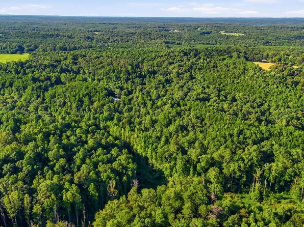 0 County Road 6, Double Springs, AL 35553
