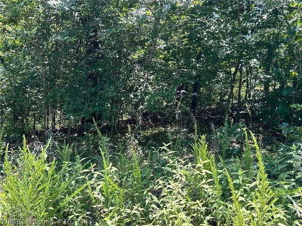 W Rocky Rd, Park Hill, OK 74451