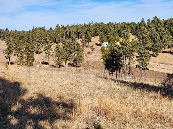 3 Keystone, Custer, SD 57730