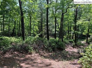 Tbd Laurel Rd, Purlear, NC 28665