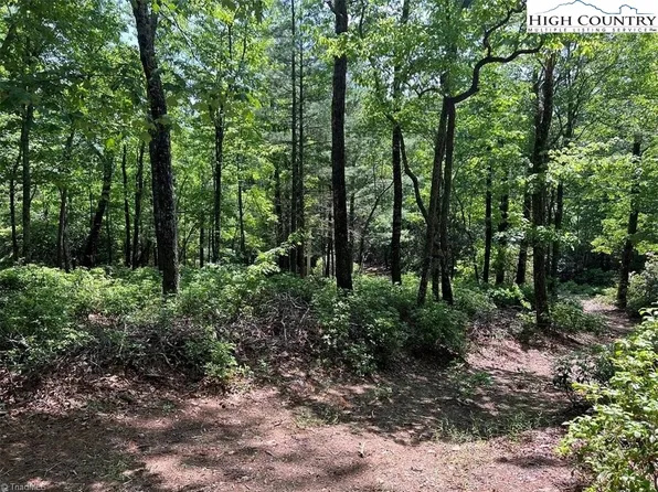 TBD Laurel Road, Purlear, NC 28665