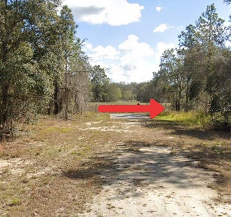 1st image of Red Thrush Ave Lot 2