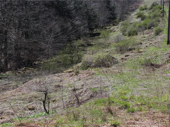 Tennanah Lake Road, Roscoe, NY 12776